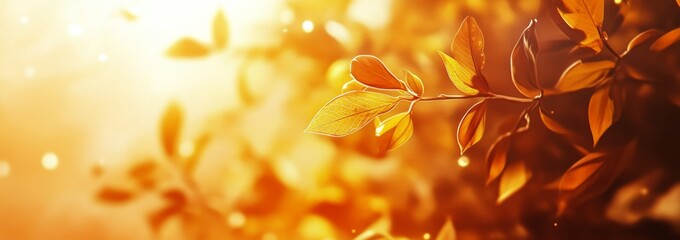 Golden autumn leaves shimmering in sunlight against a blurred background of nature