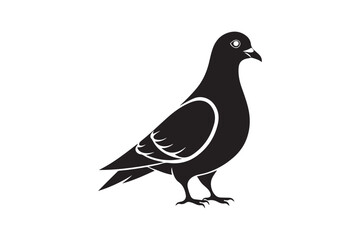 Rock Pigeon silhouette vector illustration, Rock Pigeon silhouette vector, Rock Pigeon PNG.