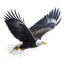 Wall Mural - Bald Eagle Flying Isolated