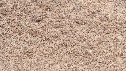 Poster - A sandy surface with a few small rocks scattered about. The surface is a mix of sand and dirt, and the rocks are of varying sizes