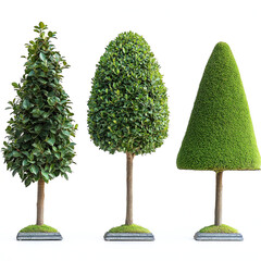 Sticker - Topiary Isolated