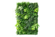 © venusvi - Wallmounted vertical garden system, modular and scalable, ecoconscious design, on solid white background, single object.,,Isolated on transparent background
