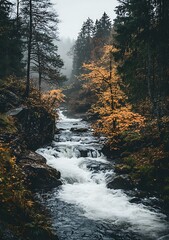 Canvas Print - Autumn Creek in the Forest