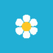 © kolonko - Pixelated daisy flower illustration. Simple pixel art of a white daisy blue background.