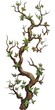 © duyina1990 - Twisted Branch with Green Leaves Illustration