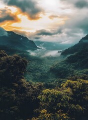 Canvas Print - Green Lush Forest Valley With Fog and Mountains