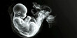 © ConceptStudio - A child in the womb of a smoker woman