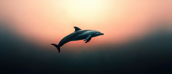 Wall Mural - A dolphin is flying in the air above the ocean