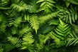© Arbystudio - Lush Green Tropical Foliage Pattern