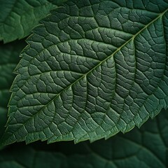 Captivating macro image of a green leaf with intricate details