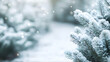 © Mix Creative - blur white snow and pine forest winter background. Christmas and new year backdrop for festive seasonal decoration