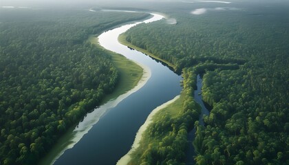 Wall Mural - Serene river gracefully winding through lush green forest from a high-angle perspective