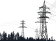 © Alexander Potapov - electric power high pylons in black forest isolated on white