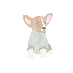 Watercolor adorable corgi dog wearing winter sweater and sitting. Handdrawn illustration, isolated on white background