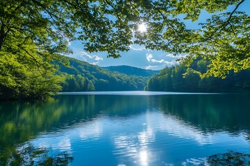 Tranquil Lake surrounded by lush green forest with sunlight reflecting on the water