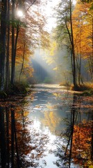 Poster - Sunlight through autumn trees reflected in a forest river