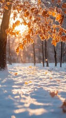 Poster - Winter sunrise in a snow covered forest with golden leaves hanging from a tree branch