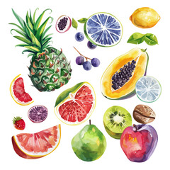 Wall Mural - watercolor tropical fruits set isolated on a white background, mango, avocado, watermelon, pineapple, orange, banana,, monster leaves, coconuts, kiwi, grape, strawberry, papaya