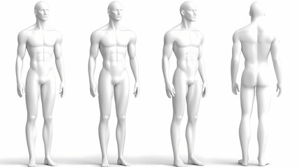 Wall Mural - White plastic male mannequin for clothes. set from the side, front and back view. commercial equipment for shop windows. 3d illustration isolated on a white background. 3D Modeling. Illustration