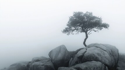 Lonely Tree on a Misty Mountain