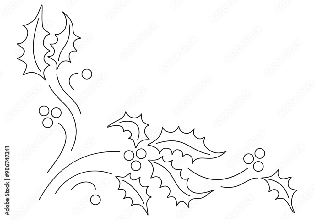 Christmas border with ilex lives, branches and berries isolated on ...