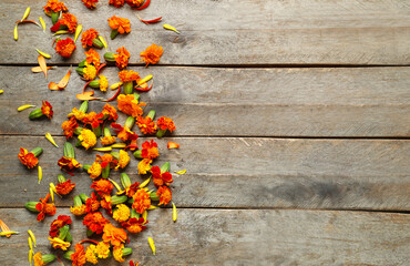 Marigold flowers on brown wooden background. Divaly celebration