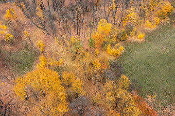 autumn park. trees with colorful yellow and orange foliage. aerial view from the drone.