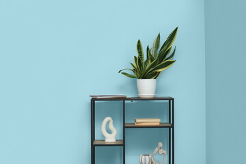 Shelving unit with houseplant near blue wall in room. Closeup