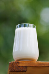 glass of milk on table with green natural background