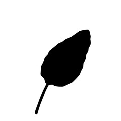 Poster - Leaf Silhouette Icon 