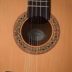 acoustic guitar close up