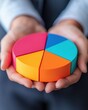 © Wan - A close-up of hands holding a colorful pie chart, symbolizing data visualization and analysis for business insights.