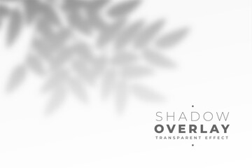 Wall Mural - shadow overlay of leafs on gray background