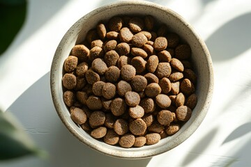 Poster - A Ceramic Bowl Filled with Brown Dog Food