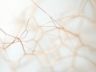 Poster - Abstract Minimalism in Nature Delicate Golden Branches Against Soft White Background
