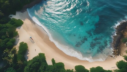 Serene aerial view of a secluded tropical beach with pristine sands and clear turquoise waters