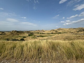 georgia (country) dessert and grass landscape