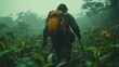 © Morng - A solitary hiker navigates through the dense foggy forest, showcasing the spirit of adventure and exploration amidst lush greenery.