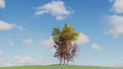 Poster - Footage of autumn tree on small hill with clouds and blue sky, 3d illustration rendering 