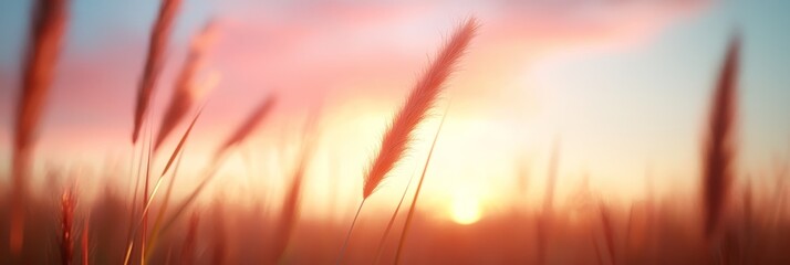 Wall Mural -  A crisp image of the sun setting over a towering grass field, with tall grass in the foreground