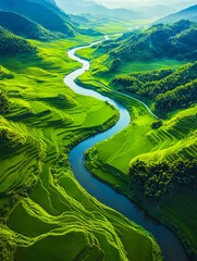 Wall Mural - A river running through a lush green valley surrounded by mountains