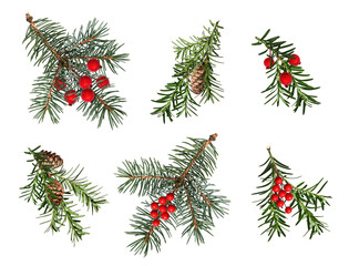 Wall Mural - a set of coniferous branches decorated with artificial red berries and cones. blue spruce, christmas