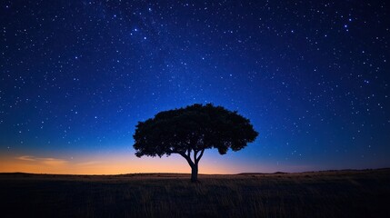 Silhouette of a tree under a starry night sky