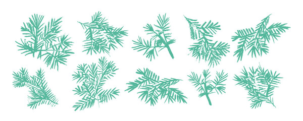Set with vector green pine branches, hand drawn pencil. Charcoal illustration. Christmas ornament for wrapping paper and decor.