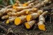 © ImronDesign - Yellow Turmeric root herb nutrient food for healthy , ai