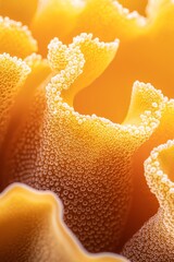 Wall Mural -  A tight shot of a yellow flower, adorned with water beads on its petals and upper portion