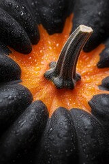 Wall Mural -  A tight shot of a black and orange pumpkin, adorned with water droplets at its peak