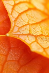 Wall Mural -  Close-up of orange-yellow leaf with water droplets..Or, if you prefer a more descriptive version:..Up-close image of an