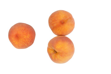 this image shows three ripe peaches with their characteristic fuzzy skin and vibrant orange-yellow c