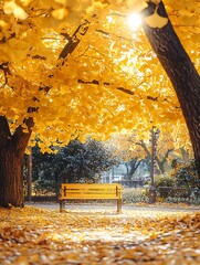 Wall Mural - A lone bench sits in the middle of a pathway in an autumnal park, surrounded by golden leaves.